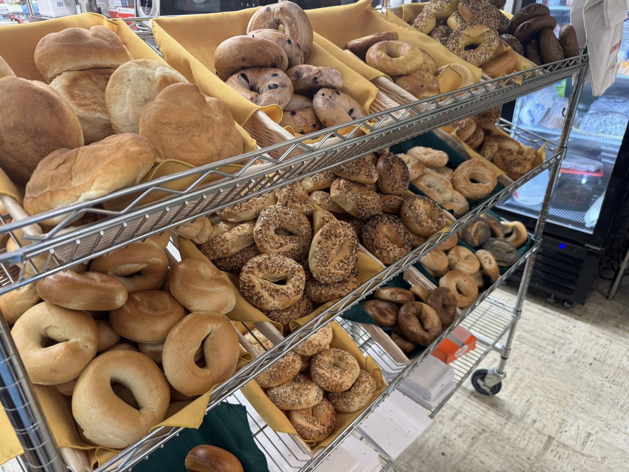 Fresh New York bagels cooling on a bakery rack
